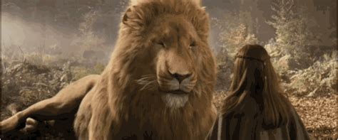 for narnia gif|for narnia meme.